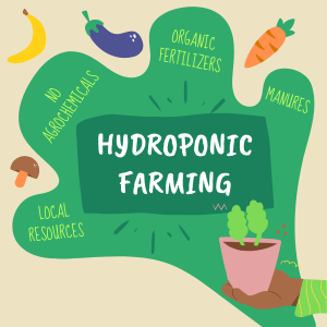Hydroponic Farming